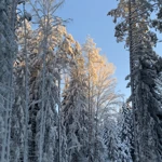Фото к отзыву Мария Балобанова