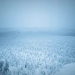 Фото к отзыву Ольга Кислая
