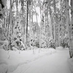 Фото к отзыву Ольга Кислая