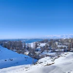 Фото к отзыву Алена Шемякина