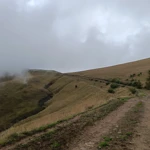 Фото к отзыву Лена Здоровое колено