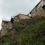 Фото к отзыву Лена Здоровое колено
