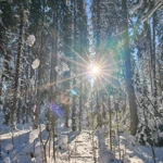 Фото к отзыву Алёна  Васильева