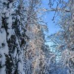 Фото к отзыву Алёна  Васильева