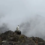 Фото к отзыву Руша Закирова