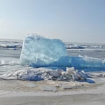 Фото к отзыву Елена Хвостова