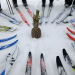 Фото к отзыву Екатерина  Петухова