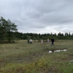 Фото к отзыву Яна Вдовенко