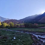 Фото к отзыву Николай Голоков