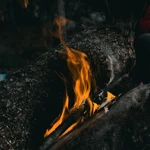 Фото к отзыву Оксана Романова
