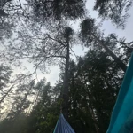 Фото к отзыву Фаина Короткая