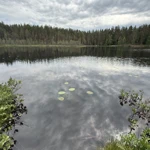 Фото к отзыву Эдуард Румянцев