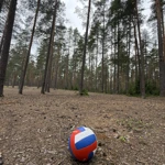 Фото к отзыву Эдуард Румянцев