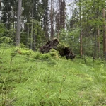 Фото к отзыву Эдуард Румянцев