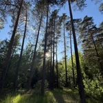 Фото к отзыву Эдуард Румянцев