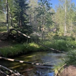 Фото к отзыву Эдуард Румянцев