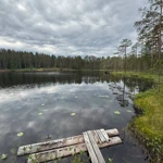 Фото к отзыву Любовь Краснощёкова