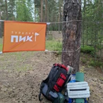 Фото к отзыву Ольга Никитина