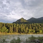 Фото к отзыву Наталья Николаева