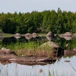 Фото к отзыву Петр Сирый