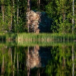 Фото к отзыву Петр Сирый