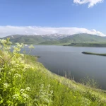 Фото к отзыву Тамара Комарова