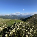 Фото к отзыву Георгий Каджоян