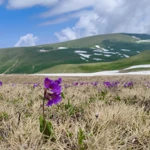Фото к отзыву Гузель Юничева