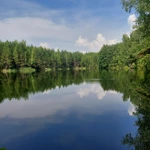 Фото к отзыву Наталья Овчинникова