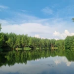 Фото к отзыву Диана  Овчинникова