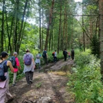 Фото к отзыву Диана  Овчинникова