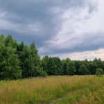 Фото к отзыву Диана  Овчинникова