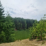 Фото к отзыву Диана  Овчинникова