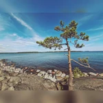 Фото к отзыву Алёна Алейникова