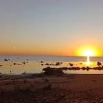Фото к отзыву Роман Новиков