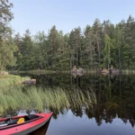 Фото к отзыву Елизавета Романова