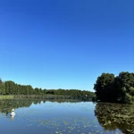 Фото к отзыву Юля  И