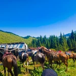 Фото к отзыву Анастасия Коврижных