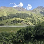 Фото к отзыву Анастасия Трофимова