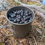 Фото к отзыву Владислав Устинов