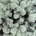 Фото к отзыву Инга А