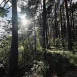 Фото к отзыву Настя Шуман