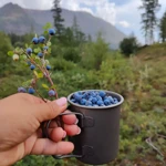 Фото к отзыву Евгения Бисерова