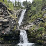 Фото к отзыву Денис Месилов