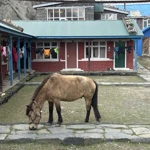 Фото к отзыву Анастасия Шахматова