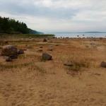 Фото к отзыву Светлана Антропова