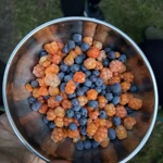 Фото к отзыву Дарья Макарова