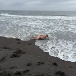 Фото к отзыву Сергей Калякин