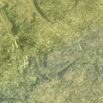 Фото к отзыву Никита Романов
