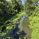 Фото к отзыву Никита Романов
